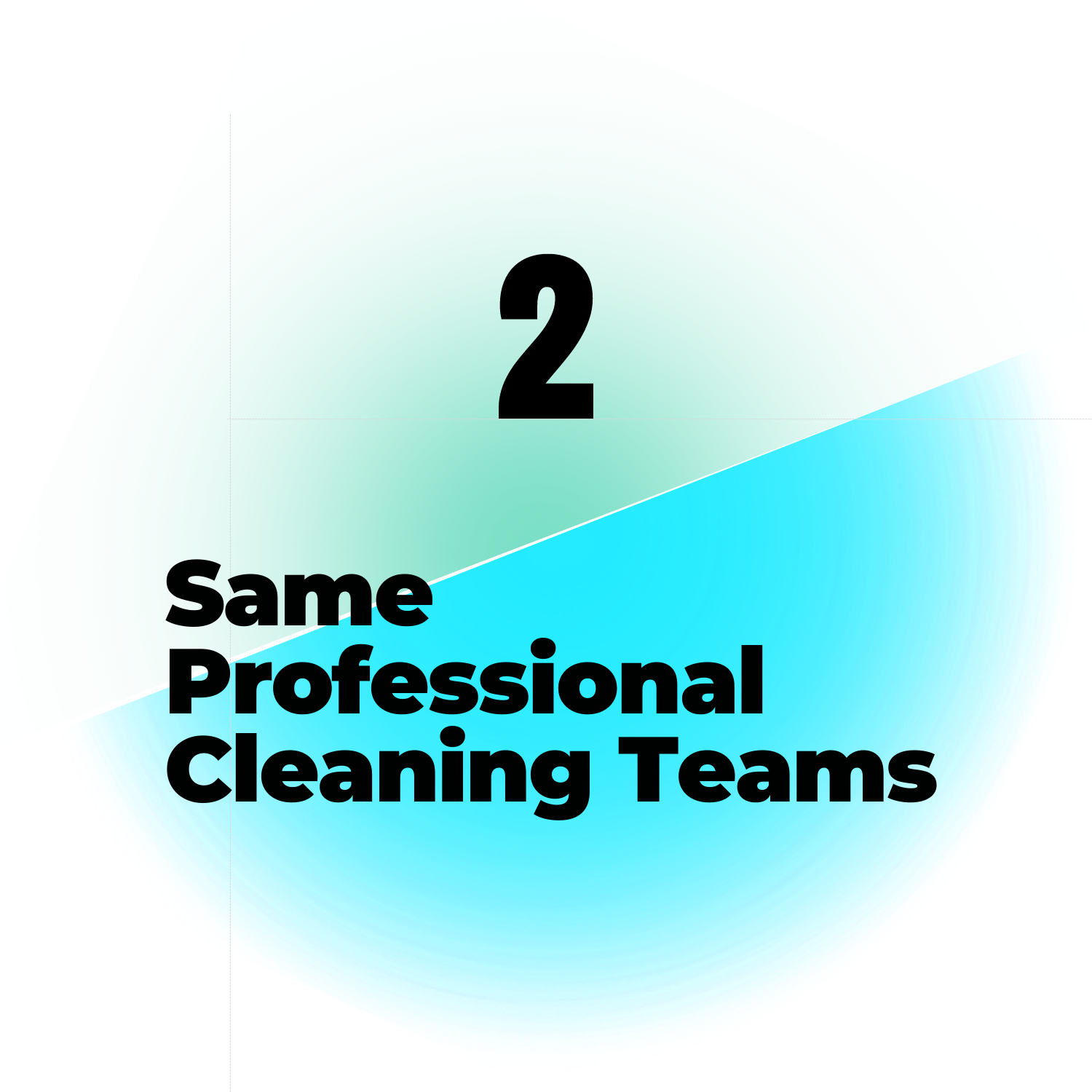 same professional cleaners